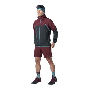 Alpine GORE-TEX Jacket Men