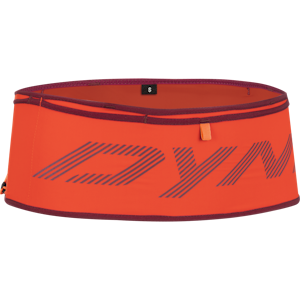 Running Belt