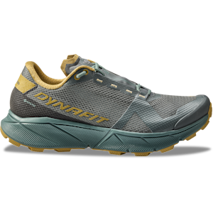 Ultra 100 GTX Running Shoes Men