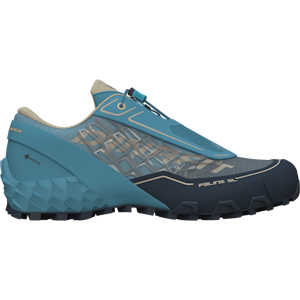 Feline SL GTX Running Shoe Men
